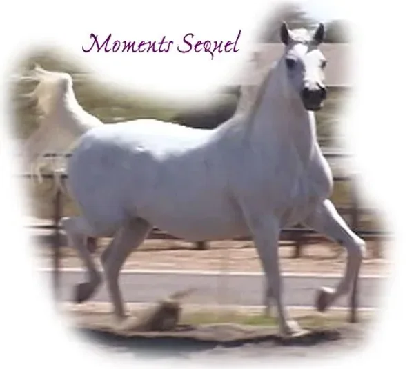 Moments Sequel