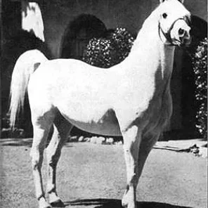 GHAZI