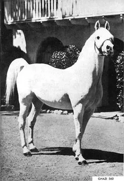 GHAZI