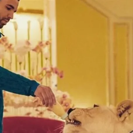 Some of Hollywood's Biggest Stars and a Few of Their Pets