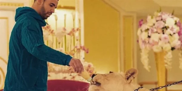 Some of Hollywood's Biggest Stars and a Few of Their Pets