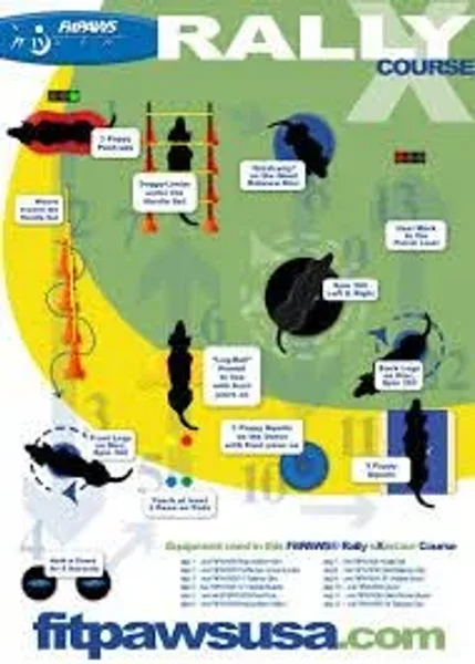 Tracking, obedience, rally, agility