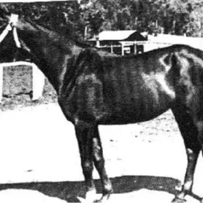 Habladuria