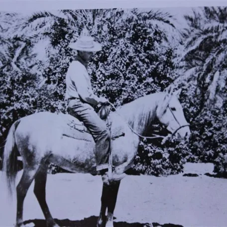 Loumeyn (Raseyn x Malouma) grey stallion, foaled January 17,1936
bred by W.K. Kellogg Institute