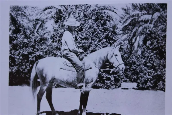 Loumeyn (Raseyn x Malouma) grey stallion, foaled January 17,1936
bred by W.K. Kellogg Institute