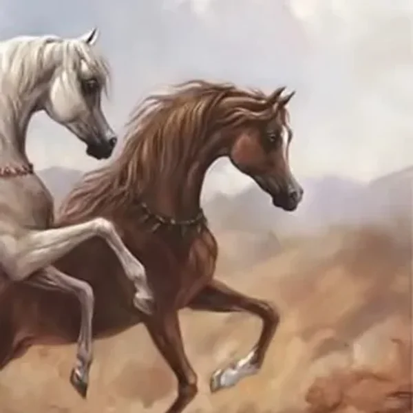 
          Ibn Lavender Foal
        
