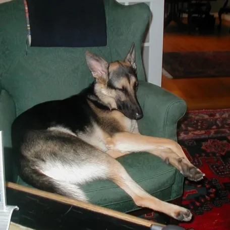 My sweet friend Sans Souci (Sau-Sau) whom I miss every day. Please reincarnate and come back to me soon!