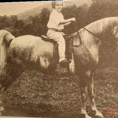KAREYMA (Naseem x Julnar by Abu Zeyd) ~ Dam of Arabi Kabir, Ibn Mirage, Rafeyma, Rageyma & more!