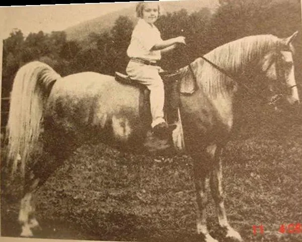 KAREYMA (Naseem x Julnar by Abu Zeyd) ~ Dam of Arabi Kabir, Ibn Mirage, Rafeyma, Rageyma & more!