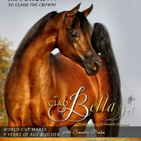 She's BACK...WC Ciao Bella with Sandro Pinha!