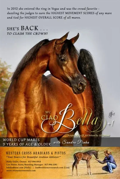 She's BACK...WC Ciao Bella with Sandro Pinha!