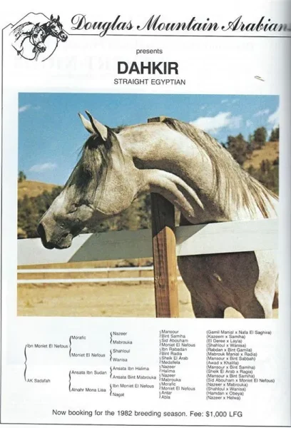DAHKIR