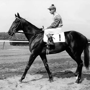 Bold Ruler