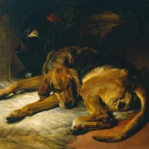 The Tudors Beloved Pets Pt 2