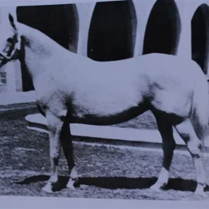 Gamyla
