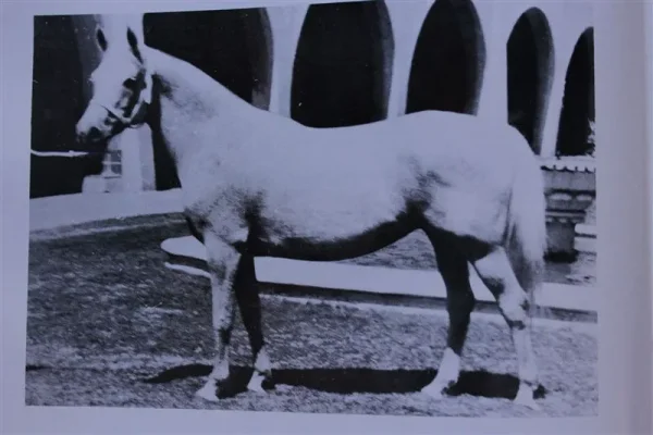 Gamyla