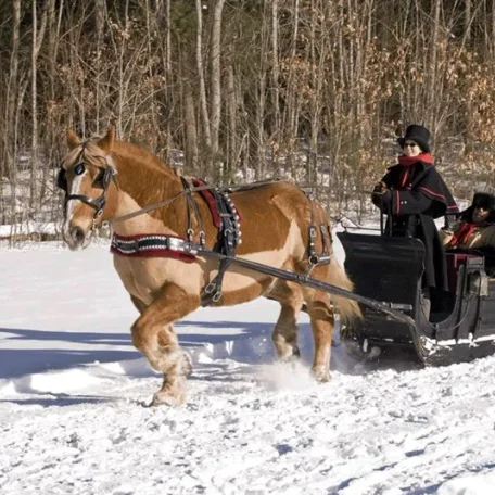 sleigh ride - tally ho!
