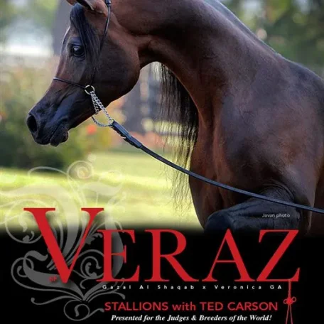 SF Veraz and Ted Carson in Scottsdale Feb, 2013...very exciting news!