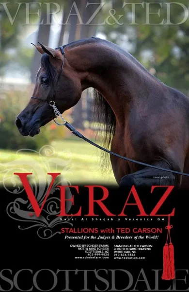 SF Veraz and Ted Carson in Scottsdale Feb, 2013...very exciting news!