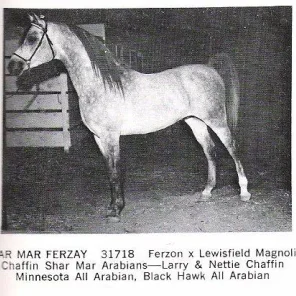 SHAR MAR FERZAY