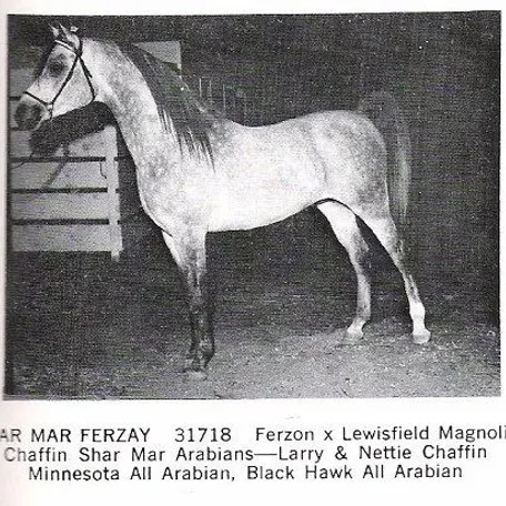 SHAR MAR FERZAY