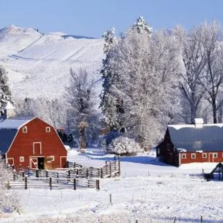 Covered Bridges and Winter Barns