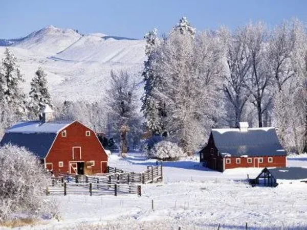 Covered Bridges and Winter Barns