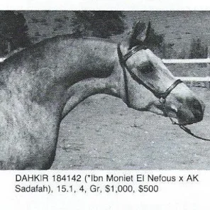 DAHKIR