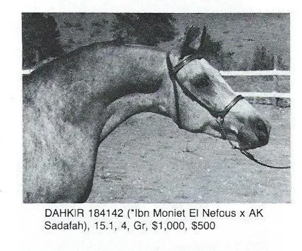 DAHKIR