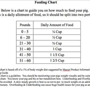 Micro Mini Pig Food: What Do You Feed a Teacup Pig?