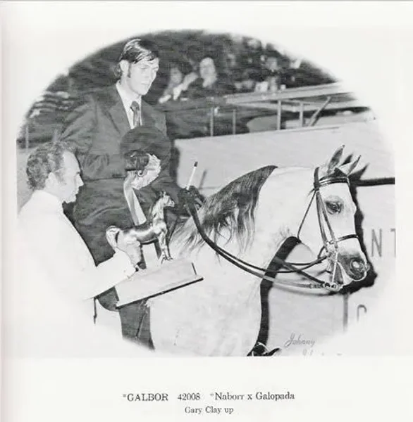 Galbor