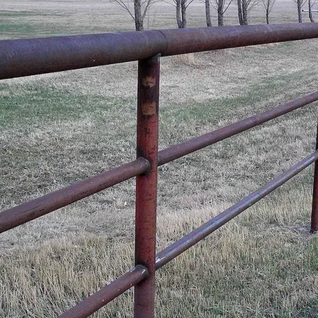 There are many aspects to horse care. Horses, ponies, mules, donkeys and other domesticated equids require attention from humans for optimal health and long life.