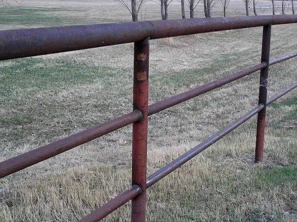 There are many aspects to horse care. Horses, ponies, mules, donkeys and other domesticated equids require attention from humans for optimal health and long life.
