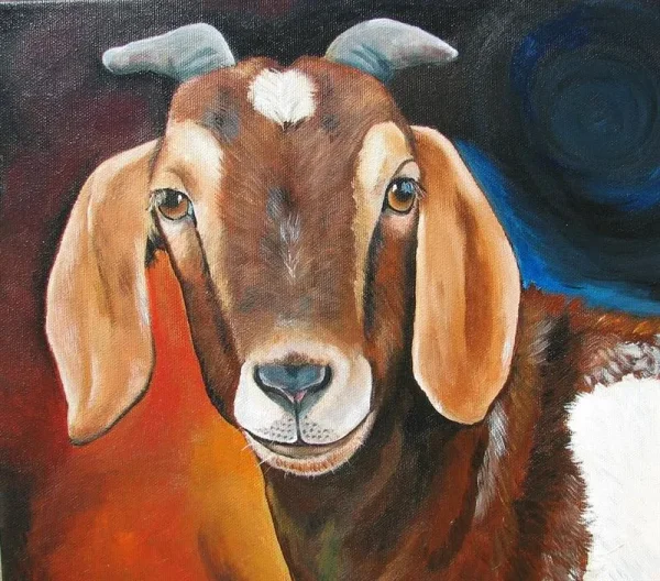 Goat Tales