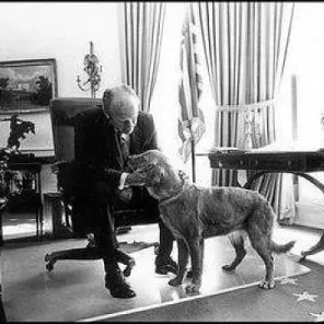 WHITE HOUSE PETS (1953-PRESENT)