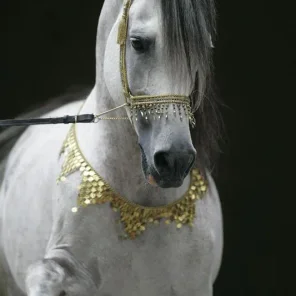 Exquisite´s Kohinoor