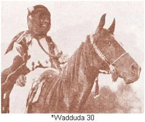 *WADDUDA