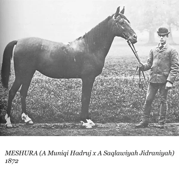 Meshura