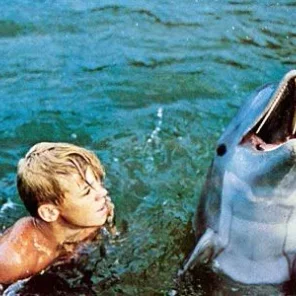 Flipper
