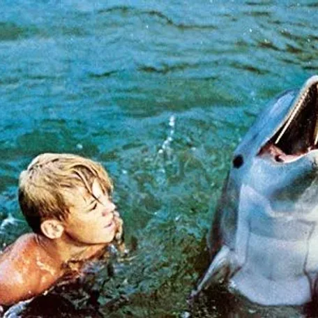 The real Flipper - definitely one of my boyhood friends