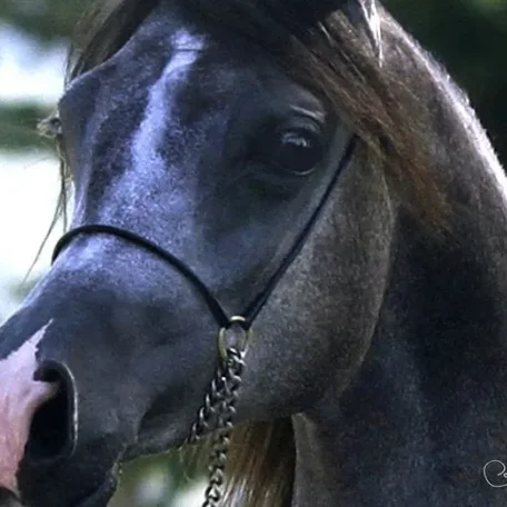 Markezza has such beautiful eyes!