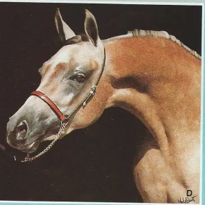 AMURATH ASTAR