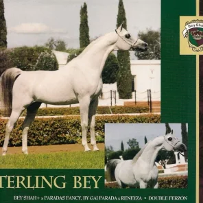 Sterling Bey