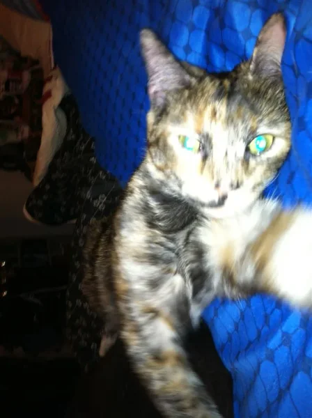 Melinda (Mimi)