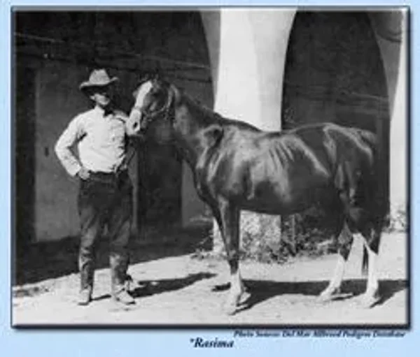 RASIMA