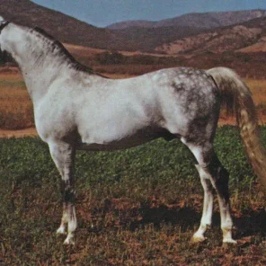 FAROLITO