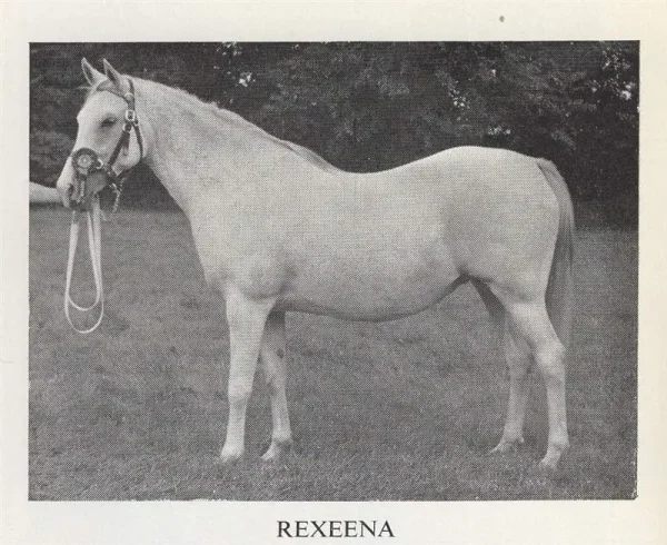 REXEENA