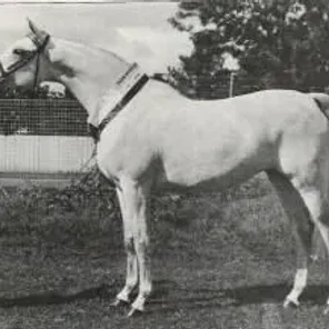 DAMIRAH