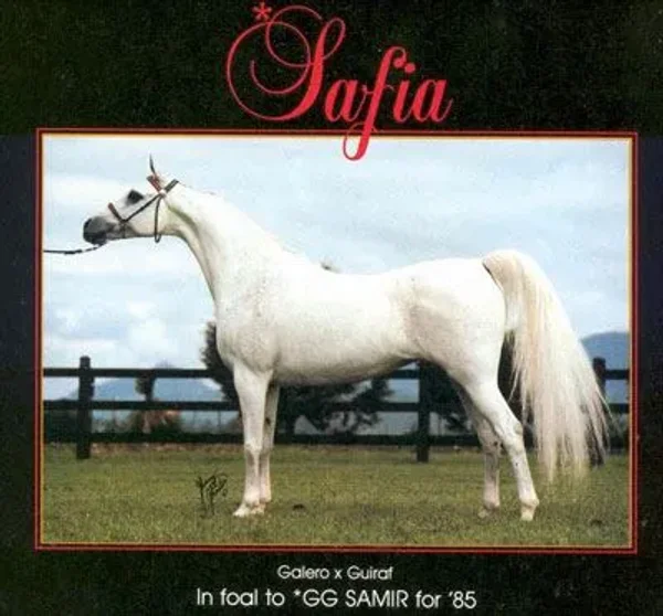 SAFIA