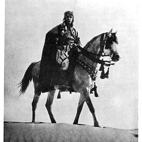 Jadaan gained fame by appearing in six films, three Tournament of Roses Parades, and many Arabian Horse Shows.